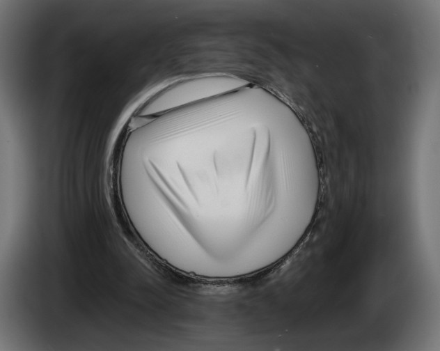 X0000082930342200703020110