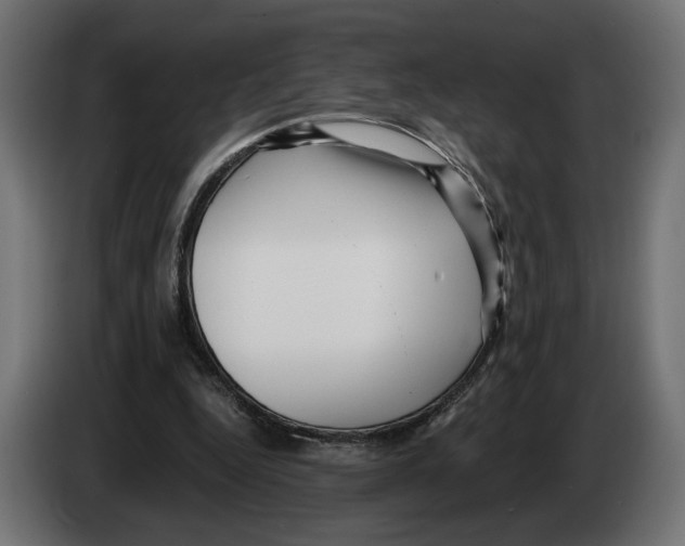 X0000082930344200703020110