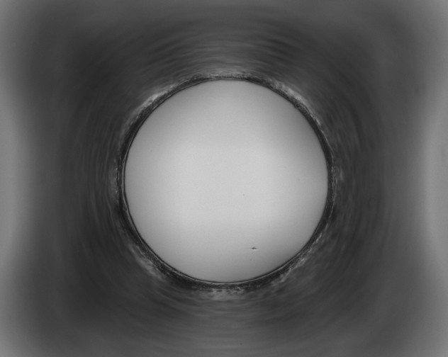 X0000082930345200703020110