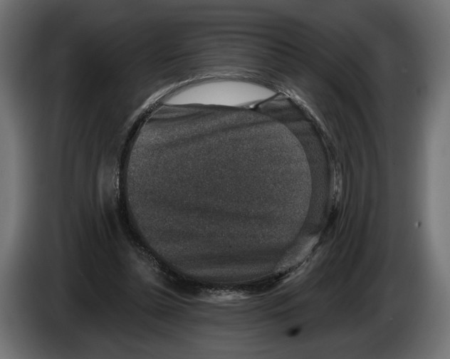 X0000082930348200703020110