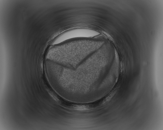 X0000082930349200703020110