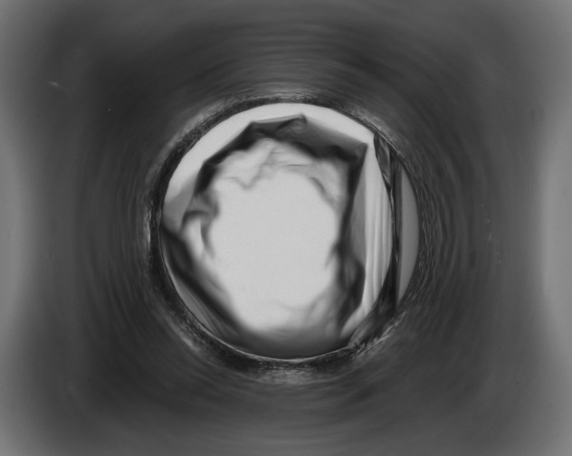 X0000082930350200703020110