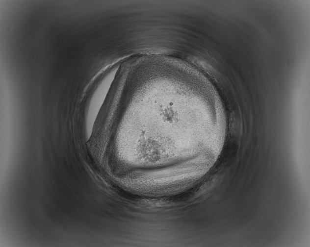 X0000082930351200703020110