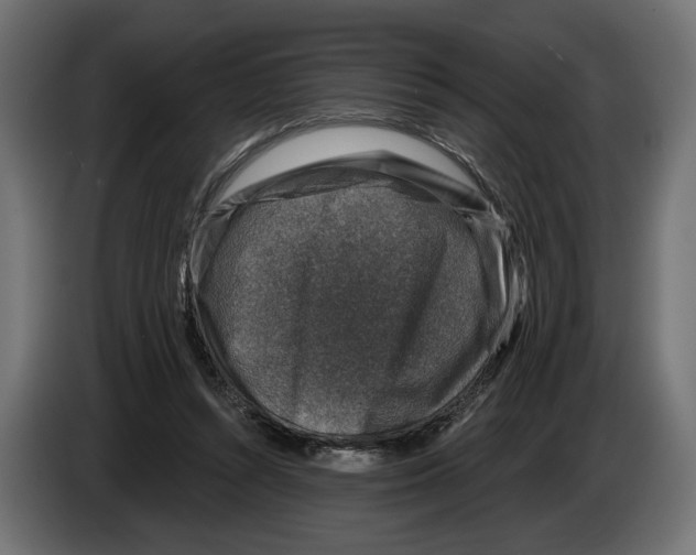 X0000082930352200703020110