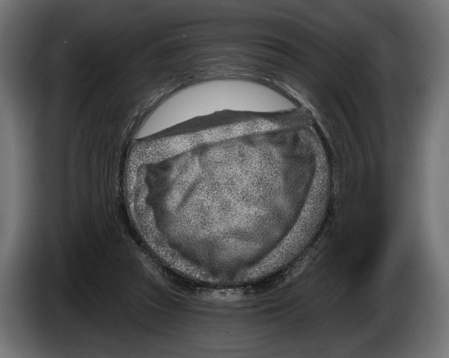 X0000082930353200703020110