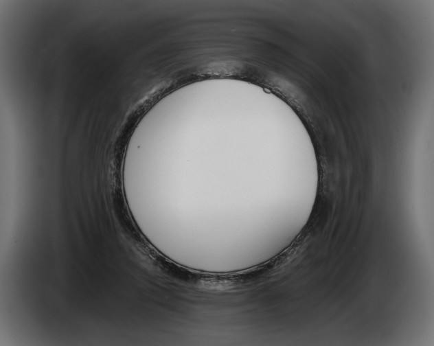 X0000082930354200703020110
