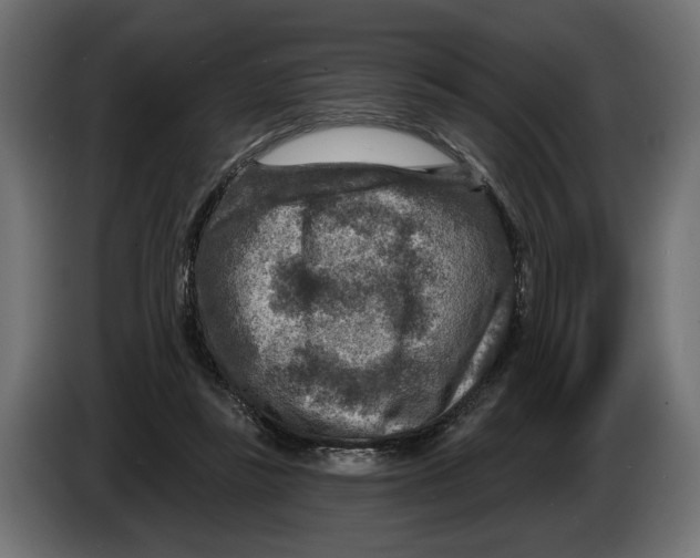 X0000082930355200703020110