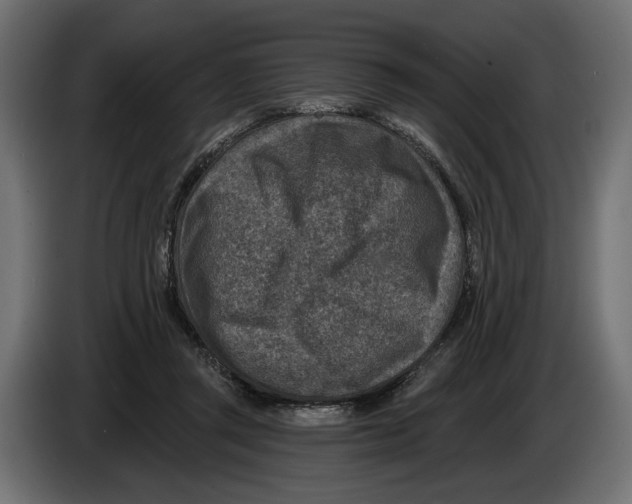X0000082930357200703020110