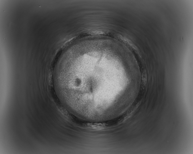 X0000082930359200703020110