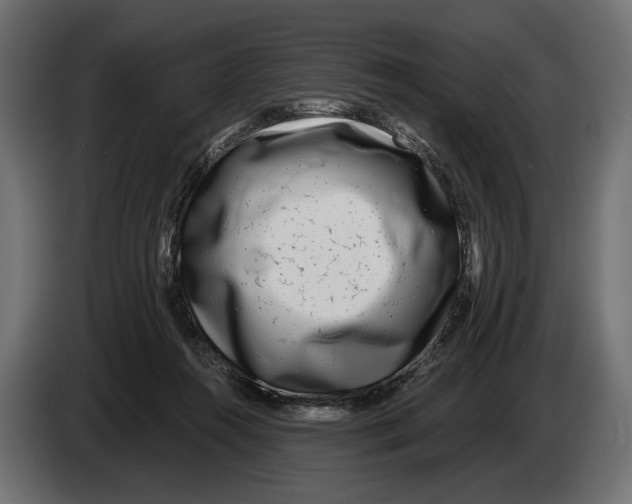 X0000082930360200703020110
