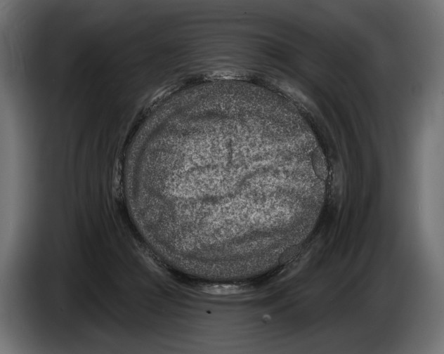 X0000082930361200703020110