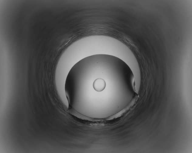 X0000082930362200703020110