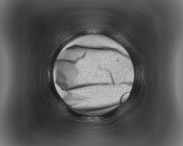 X0000082930363200703020110