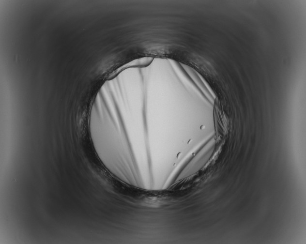 X0000082930364200703020110