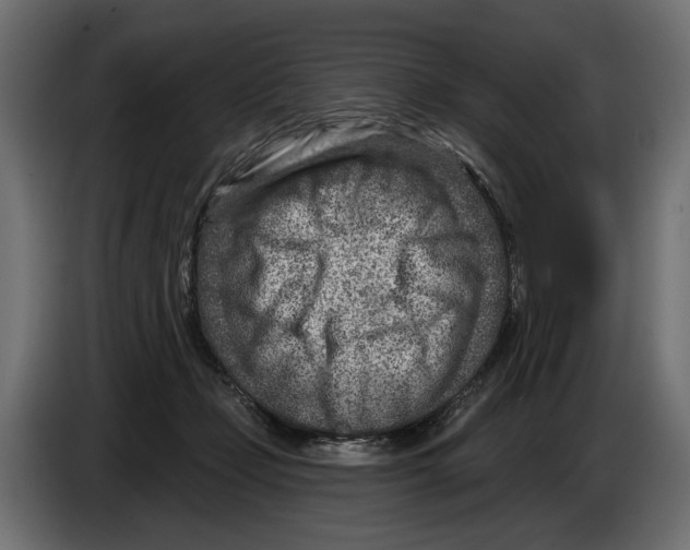 X0000082930365200703020110