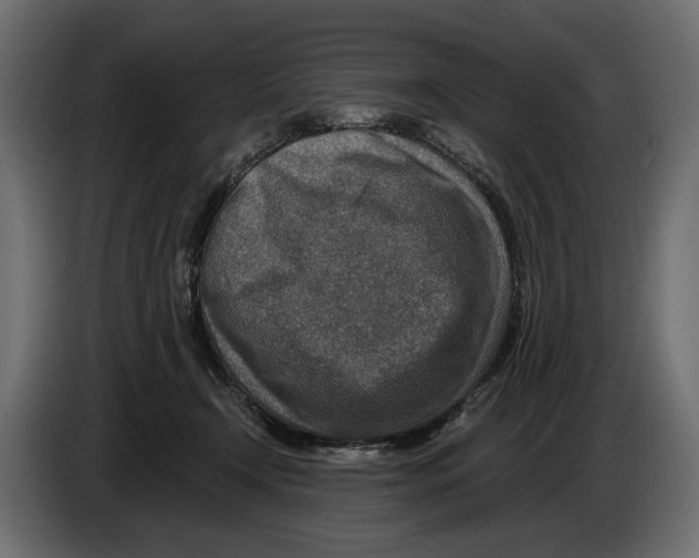 X0000082930366200703020110