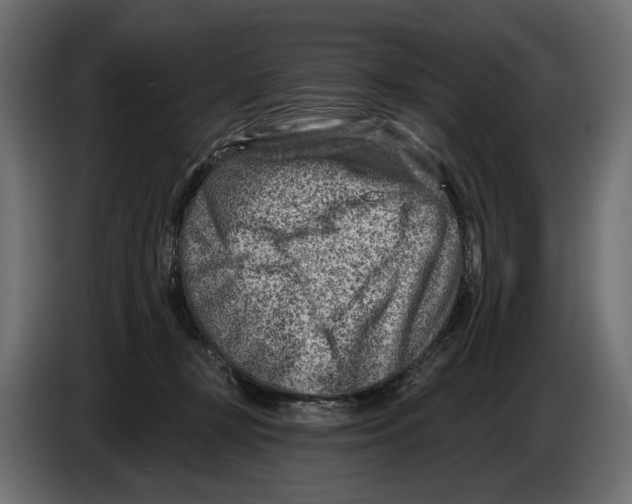 X0000082930367200703020110
