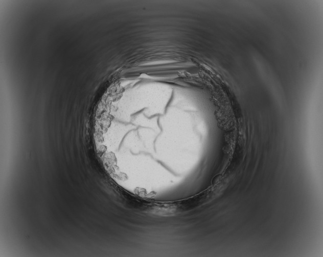 X0000082930369200703020110