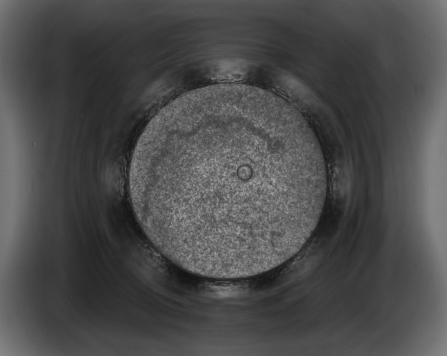 X0000082930370200703020110