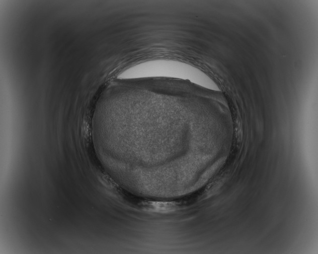 X0000082930371200703020110