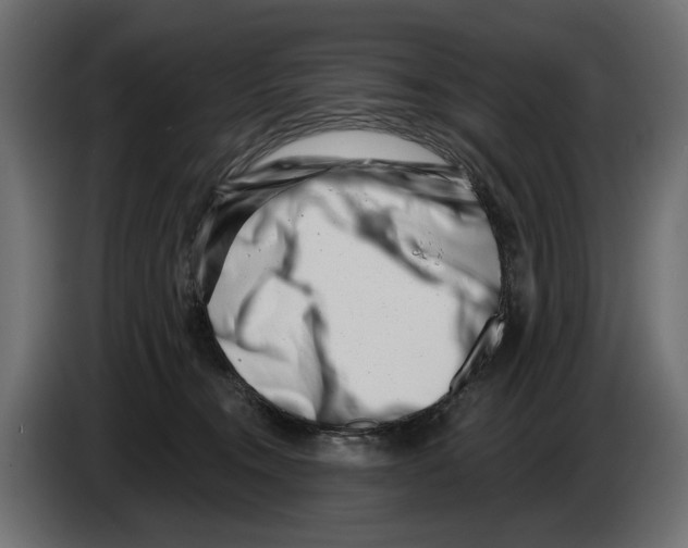 X0000082930372200703020110