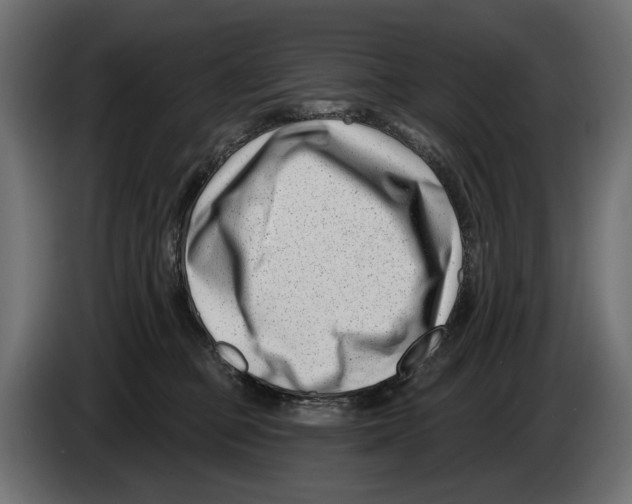 X0000082930373200703020110