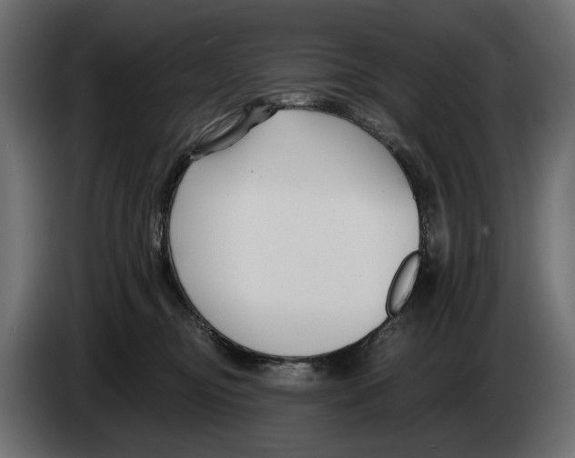 X0000082930374200703020110
