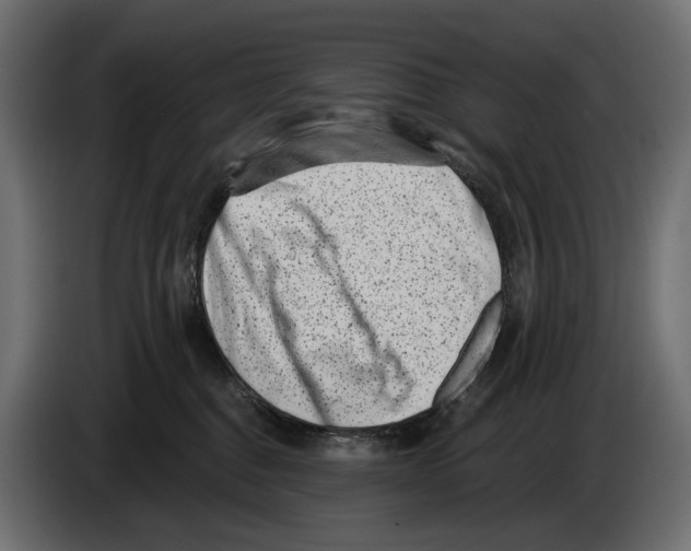 X0000082930376200703020111