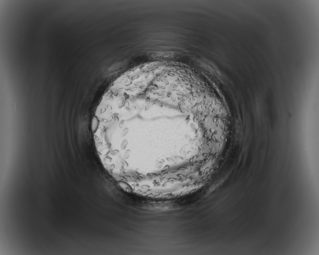 X0000082930377200703020111