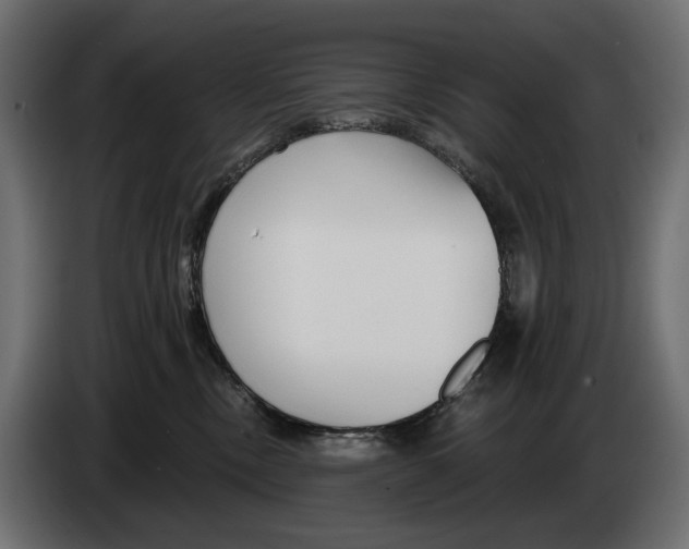 X0000082930378200703020111