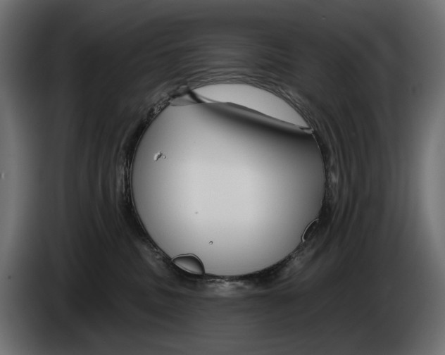 X0000082930379200703020111