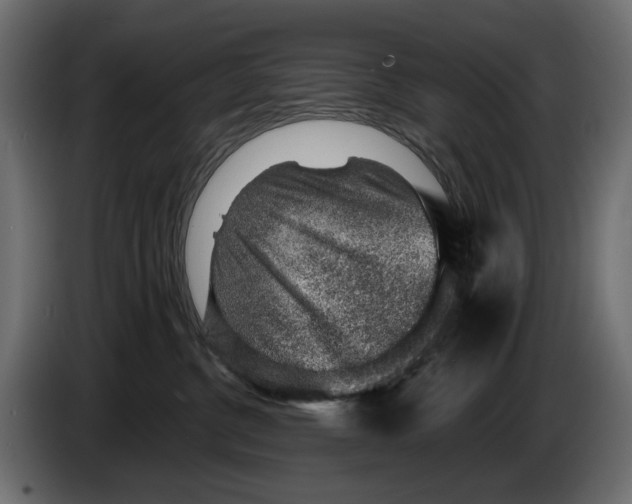 X0000082930380200703020111