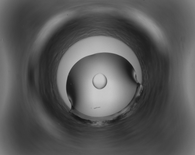 X0000082930382200703020111