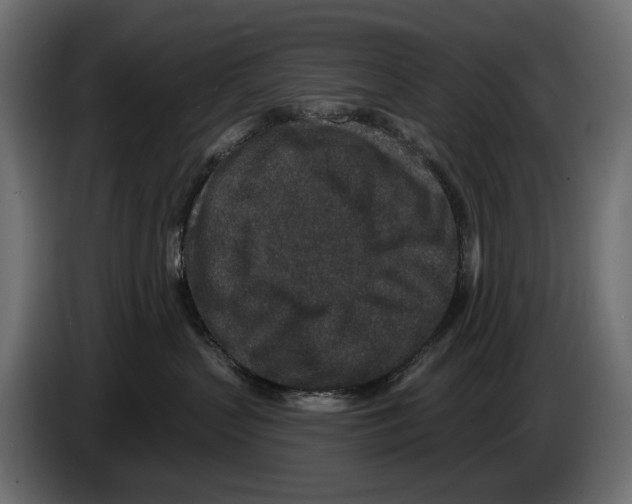 X0000082930383200703020111
