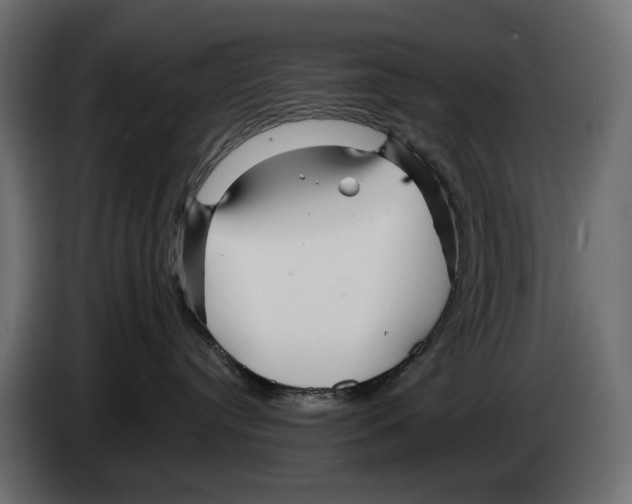 X0000082930384200703020111