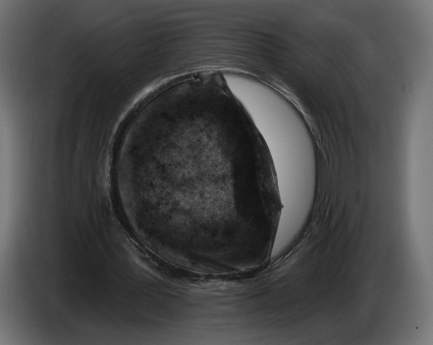 X0000082930387200703020110