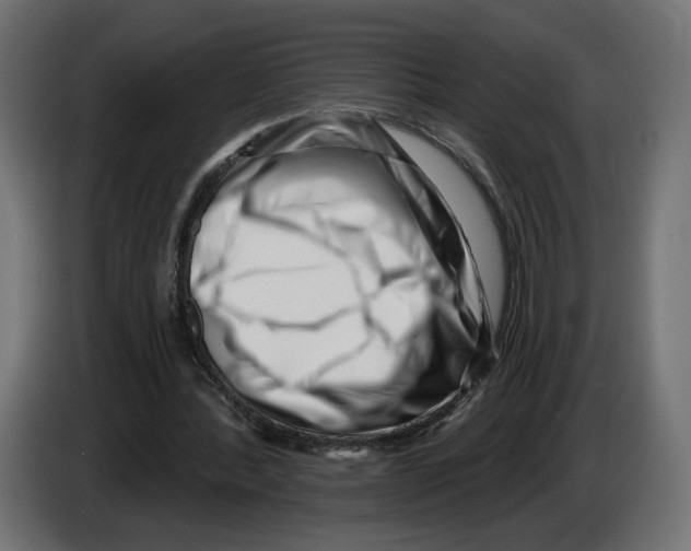 X0000082930388200703020110