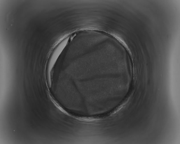 X0000082930389200703020110