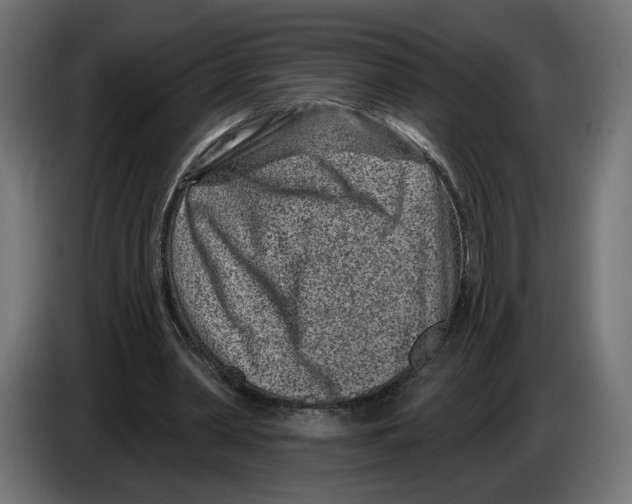 X0000082930390200703020110