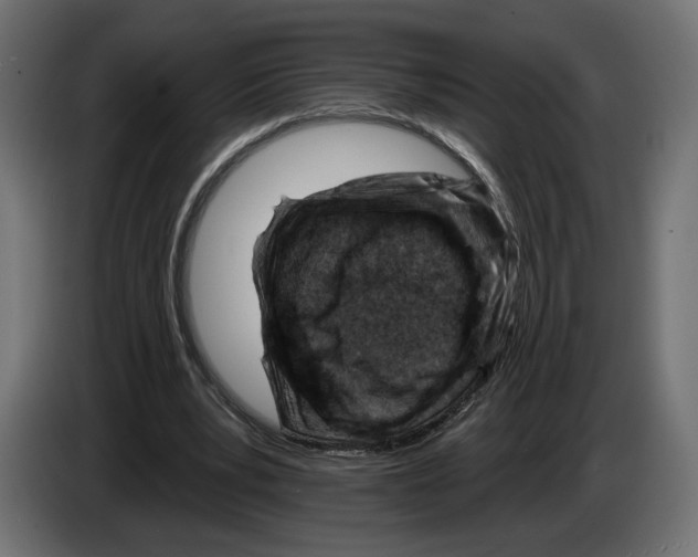 X0000082930391200703020110