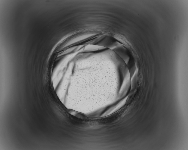 X0000082930392200703020110