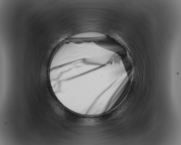 X0000082930394200703020110