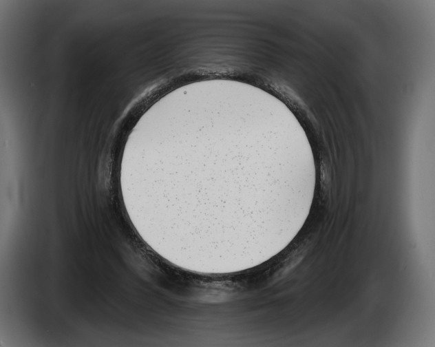 X0000082930396200703020110