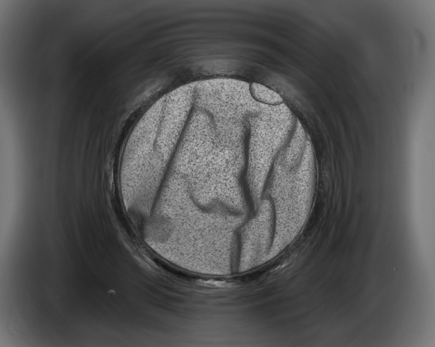X0000082930398200703020110