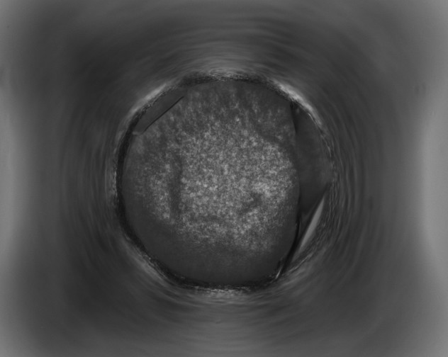 X0000082930399200703020110