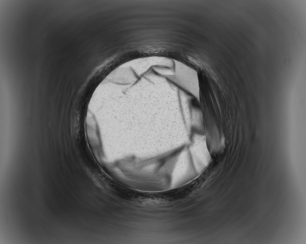 X0000082930400200703020110