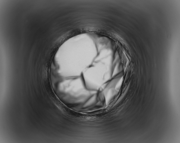 X0000082930401200703020110