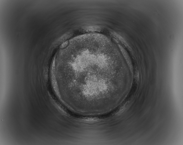 X0000082930402200703020110