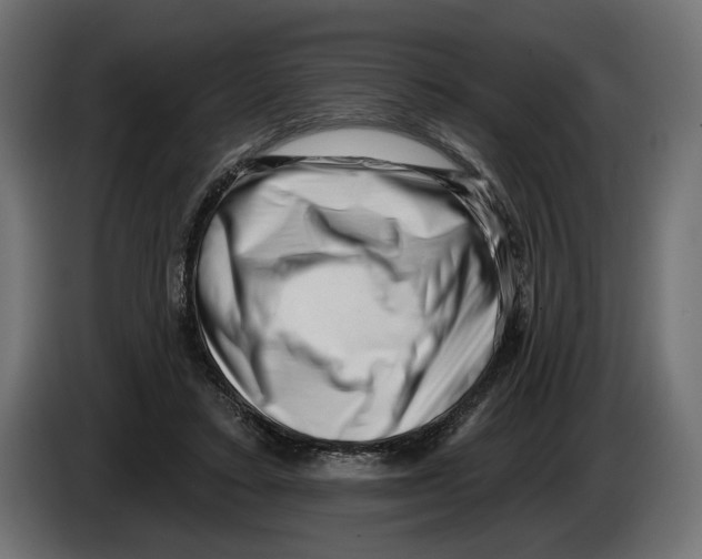 X0000082930403200703020110