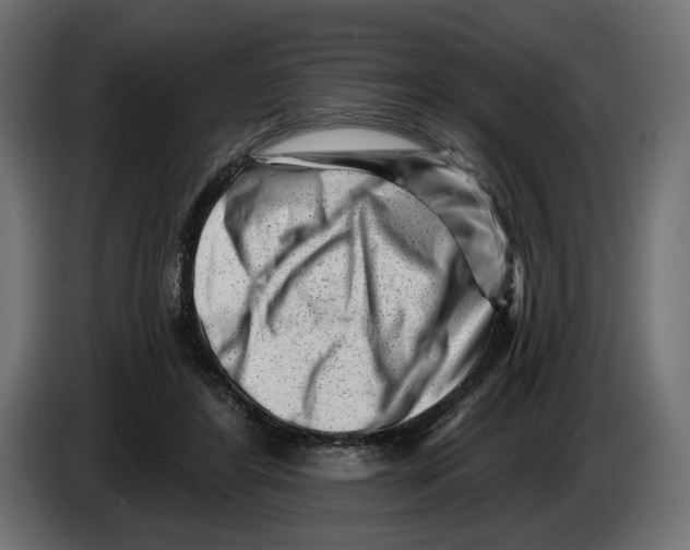 X0000082930404200703020110